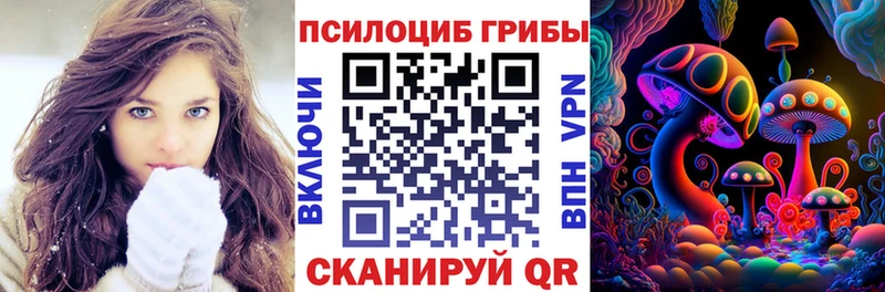 Псилоцибиновые грибы Psilocybe  Купить  Карталы 